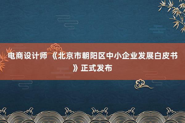 电商设计师 《北京市朝阳区中小企业发展白皮书》正式发布